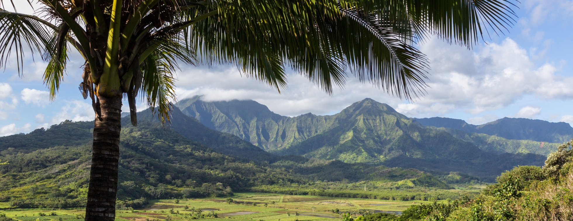 Hawaii Village Build - Kauai